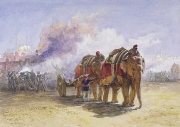 Batteria di elefanti, 1864